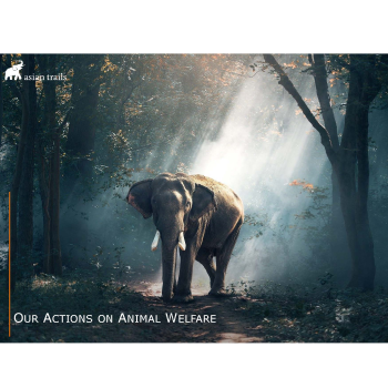 animal-welfare-01